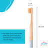 THE LITTLE LOOKERS Natural Bamboo Baby Toothbrush with Sensitive Gentle Soft Bristles for Babies/ Kids/Toddlers - Multicolor (Pack of 3)